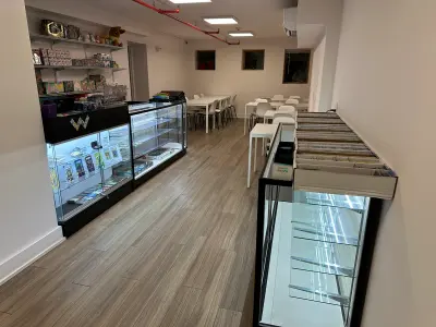 Kaleido TCG, Google photo 4