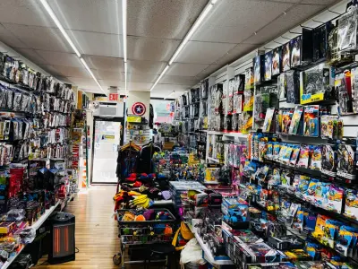 Rene Angelo Store Toys & Collectibles, Google photo 1